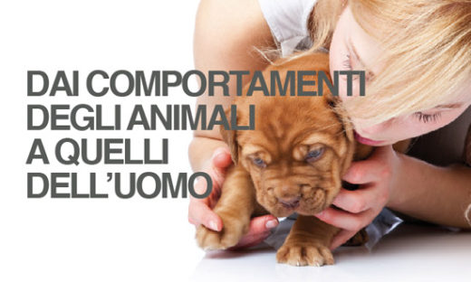 DAI COMPORTAMENTI DEGLI ANIMALI  A QUELLI  DELL’UOMO