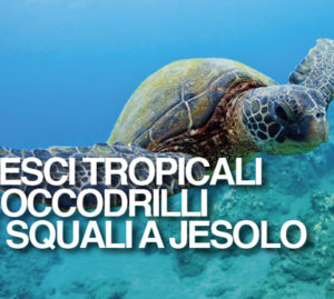 PESCI TROPICALI COCCODRILLI E SQUALI A JESOLO