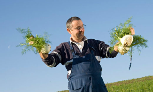 AGRICOLTURA BIOLOGICA: DA SOGNO A REALTA'