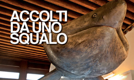 ACCOLTI DA UNO SQUALO