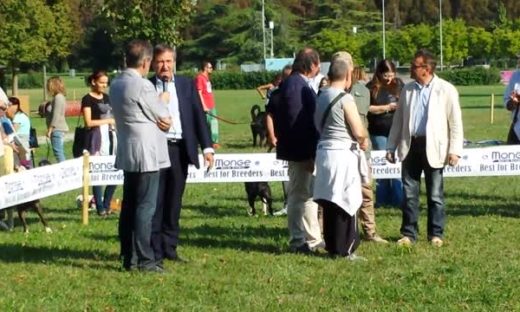 Insieme per recuperare il parco Bissuola