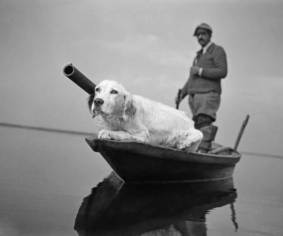 Caccia in valle - Venezia 1946 - PH© Vittorio Pavan Archivio Cameraphoto