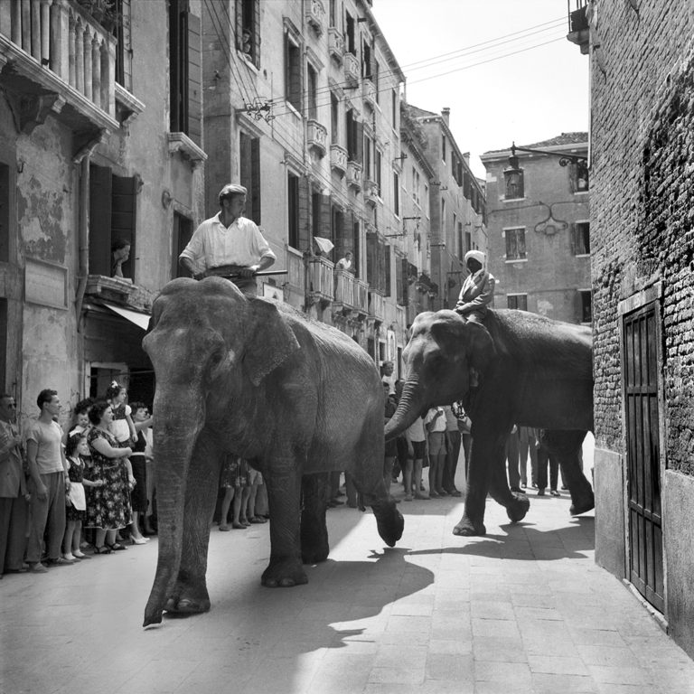 Il Circo a Venezia - 1954 - PH© Vittorio Pavan Archivio Cameraphoto