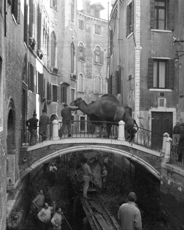 Circo Togni - Venezia 1954 - PH© Vittorio Pavan Archivio Cameraphoto