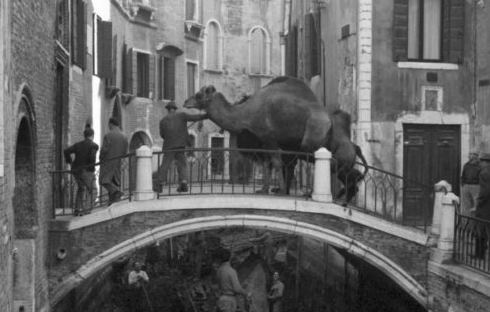 Cameraphoto: i preziosi scatti d'epoca che, alla Biennale, raccontano Venezia