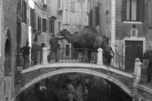 Cameraphoto: i preziosi scatti d'epoca che, alla Biennale, raccontano Venezia