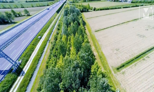 Il Passante: verde per il traffico, verde per l’ambiente