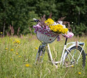 Bonus bicicletta: boom di acquisti in Veneto