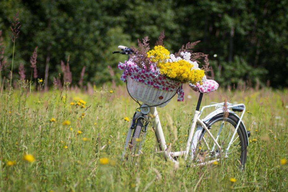 bonus biciclette