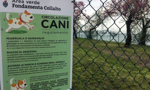 Giudecca: area cani, primo tassello per un’isola più viva e vivibile