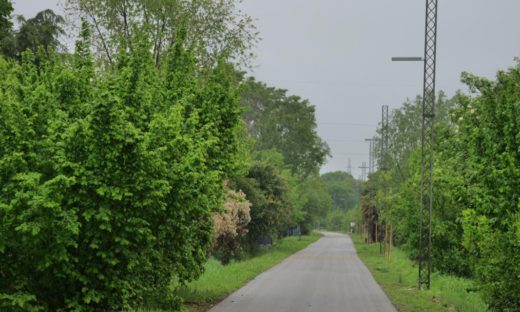 Asseggiano-Miranese: un altro tassello per la rete ciclabile