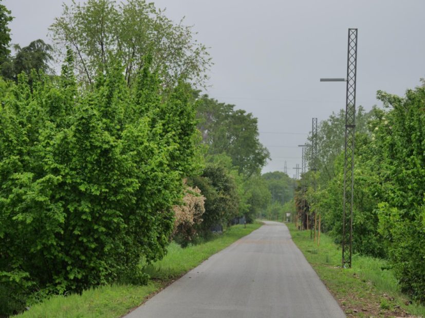 Asseggiano-Miranese: un altro tassello per la rete ciclabile