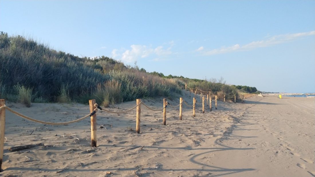 Life Redune: salviamo le dune!
