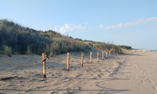 Life Redune: salviamo le dune!