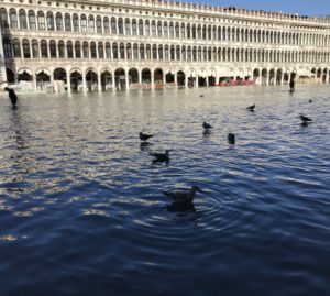 Acqua alta: guardare avanti, oltre l'emergenza