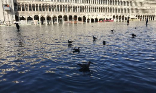 Acqua alta: guardare avanti, oltre l'emergenza