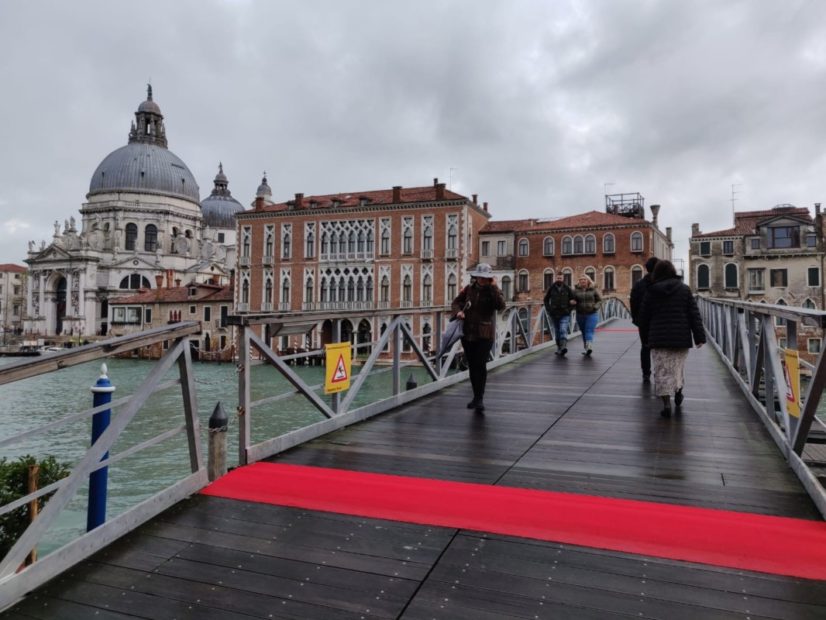 Madonna della Salute, Madonna della Salvezza