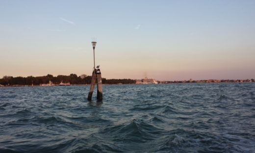 A Venezia si "cacciano i coccodrilli"