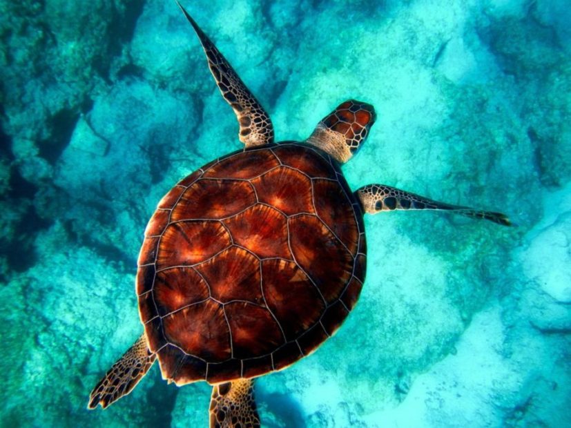 Dagli Oceani alla Laguna: dieci anni per mettere a posto le cose