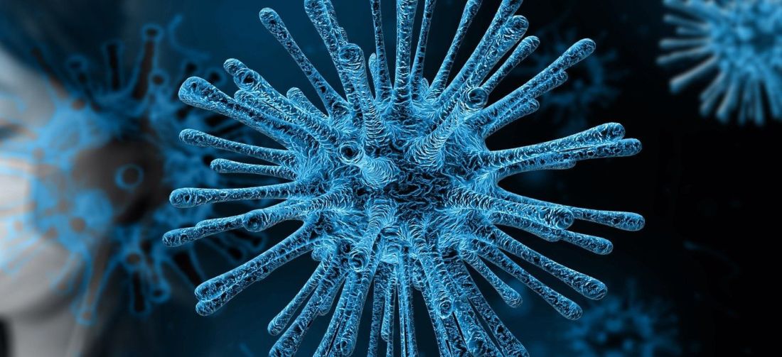 Coronavirus. Non si trasmette col cibo: filiera veneta sicura