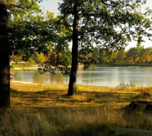 Parco fluviale