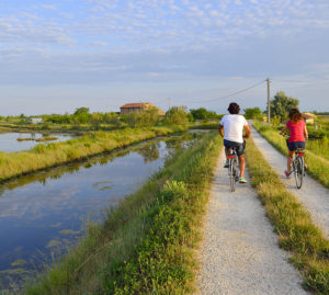 Cicloturismo: primavera sulle due ruote tra natura, mare, laguna e storia