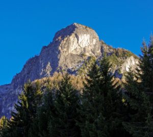 Riforestazione: Iuav e Wow Nature in prima linea per le montagne venete
