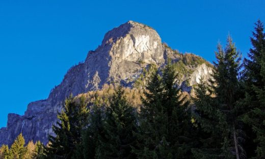 Riforestazione: Iuav e Wow Nature in prima linea per le montagne venete