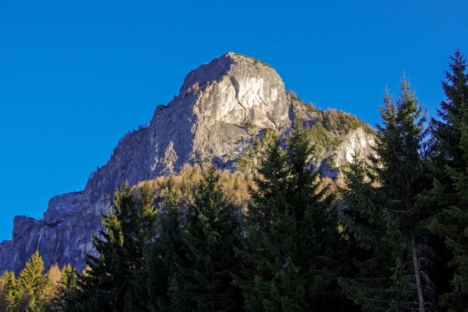 Riforestazione: Iuav e Wow Nature in prima linea per le montagne venete