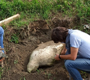 Le campagne di Altino restituiscono una statua romana