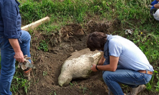 Le campagne di Altino restituiscono una statua romana