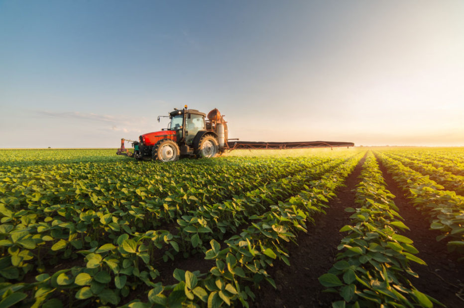 È in Italia l'agricoltura più “green” d'Europa