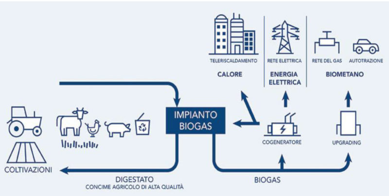 Lo schema dell'impianto biogas