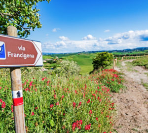 Turismo lento, grandi passi: l’Italia investe sui cammini