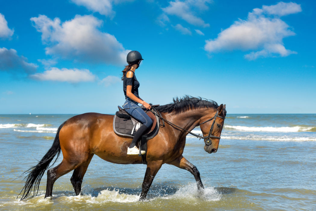 passeggiata a cavallo in spiaggia