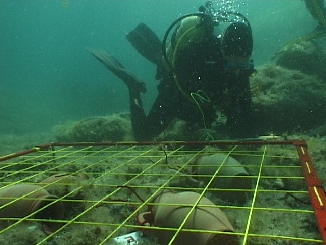 A Caorle, al Museo si viaggia sott'acqua