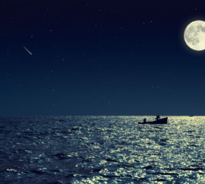 stelle cadenti