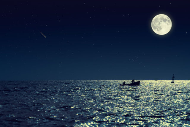 stelle cadenti