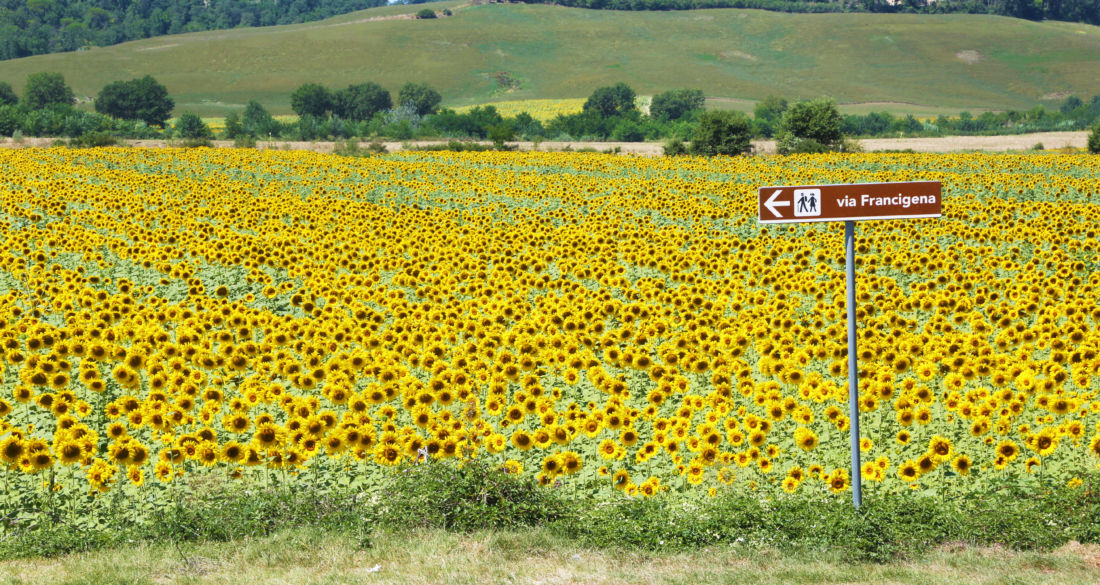 La via Francigena