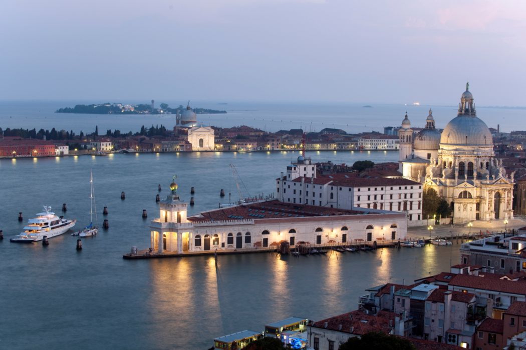 Punta della dogana arte