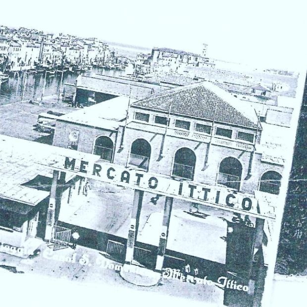 Il mercato ittico di Chioggia, 60 anni di attività