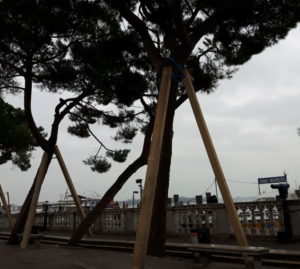 Acqua alta: lavori pubblici a Venezia per oltre 5 milioni