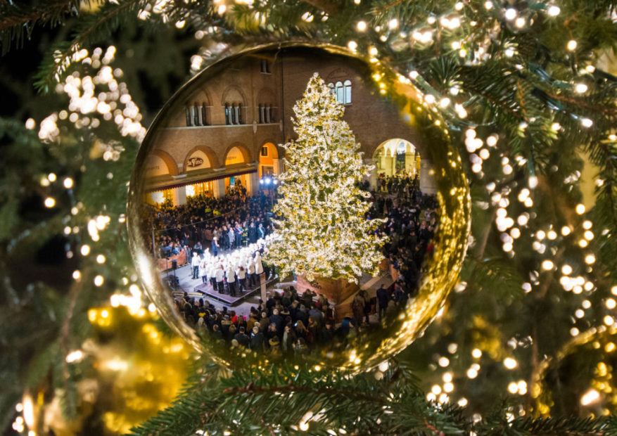 L'albero di Natale di Treviso