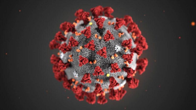 coronavirus-covid-19