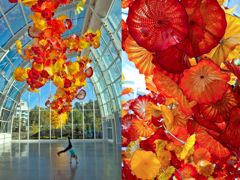 Opera di Dale Chihuly a Seattle