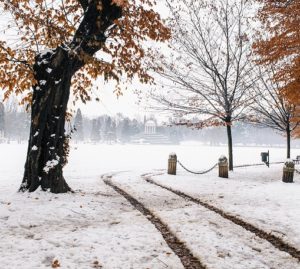 E' arrivato l'inverno. Ma l'acqua alta resta fuori dalla Laguna