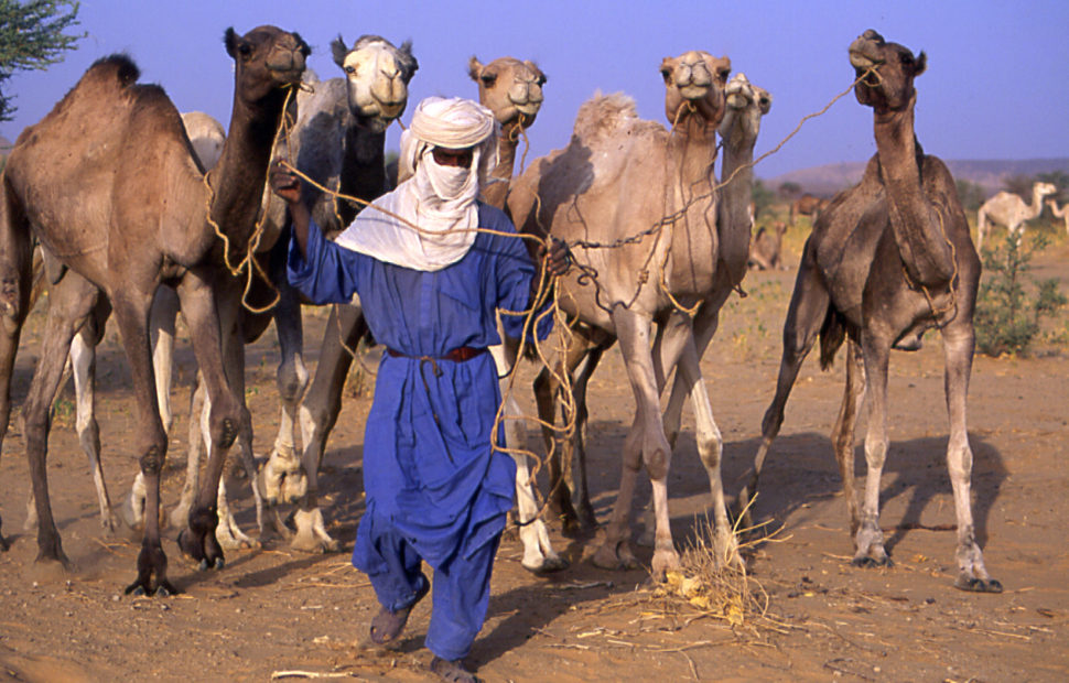 Niger Touareg viaggio