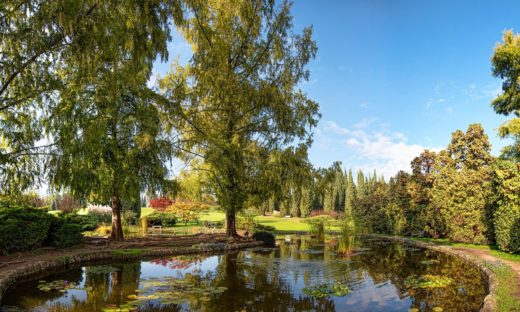 Riapre il Parco Giardino Sigurtà, sul podio delle bellezze europee