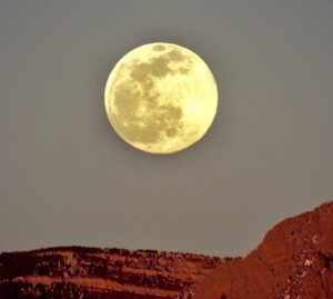 La Superluna inaugura un agosto col naso all'insù