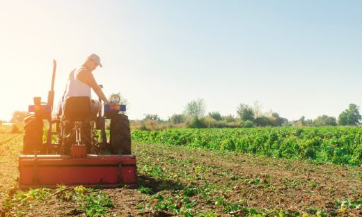 Italia: l'agricoltura sostenibile è in netta crescita.